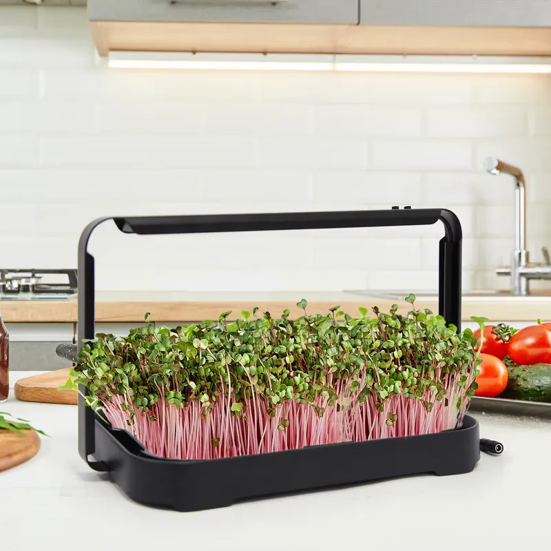 Smart Garden Indoor - 水耕栽培トレイ 室内マイクログリーン マイクログリーン種子 発芽栽培システム 家庭菜園キット スマートプランター
