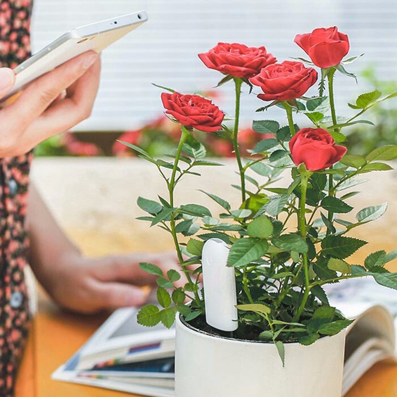 Xiaomi mijia、フラワーモニター、花、庭のケア、植 - Smart Garden Water のレビューと価格