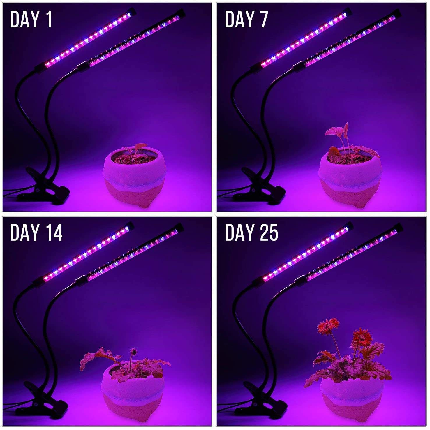 USB LED 植物成長ライト屋内庭園 10 調光レベル成長 - Smart Garden Indoor のレビューと価格