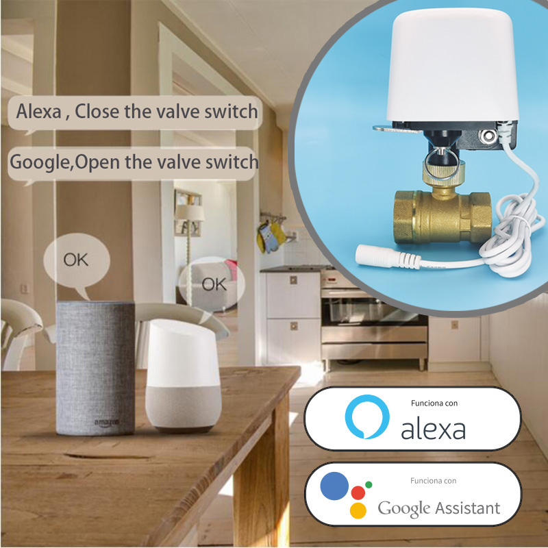 スマート Tuya WiFi Zigbee ウォーターバルブ - Smart Garden Home Assistant のレビューと価格
