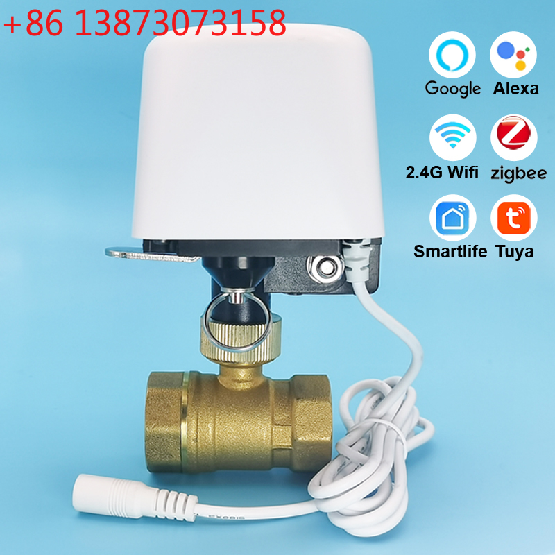 1/2インチ 3/4インチ 1インチ Tuya Zigbee - Smart Garden Home Assistant のレビューと価格