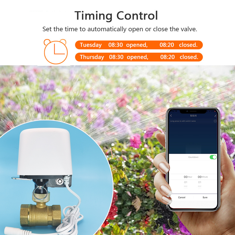 1/2インチ 3/4インチ 1インチ Tuya Zigbee - Smart Garden Home Assistant のレビューと価格
