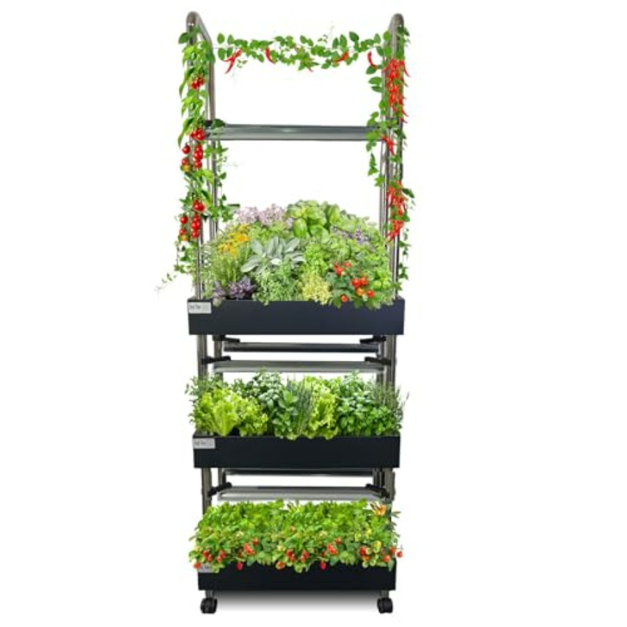 屋内水耕栽培システム：スマートフルスペクトルライト付き垂直庭 - Smart Garden Water のレビューと価格