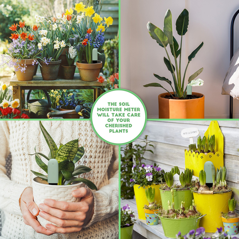 Hhcc-flora-ヘルスケアモニター,家庭用アプリ,庭の - Smart Garden Water のレビューと価格