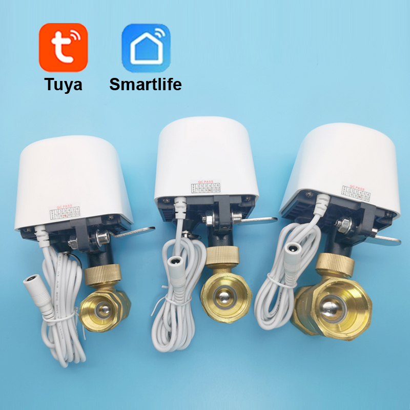 Wifi Zigbee Tuya対応 水道バルブ ガーデン自 - Smart Garden Home Assistant のレビューと価格